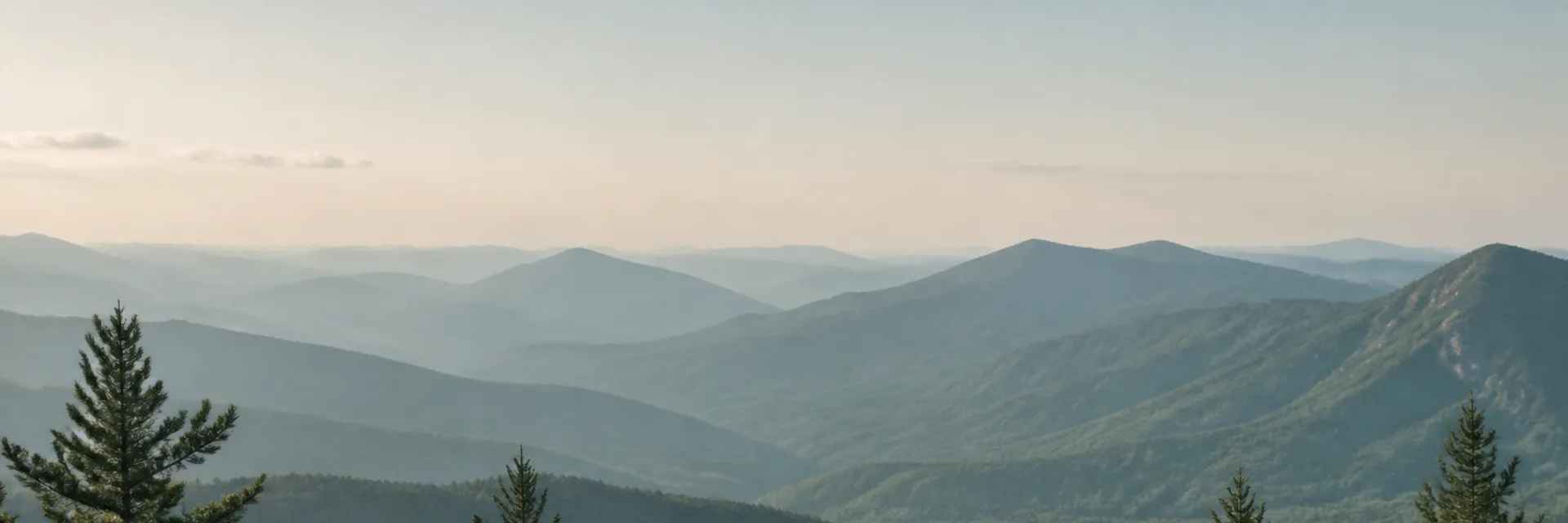 Dental Technology in Little Mountain, SC